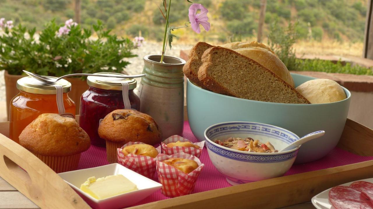 Corazon Andaluz Guesthouse 코인 외부 사진