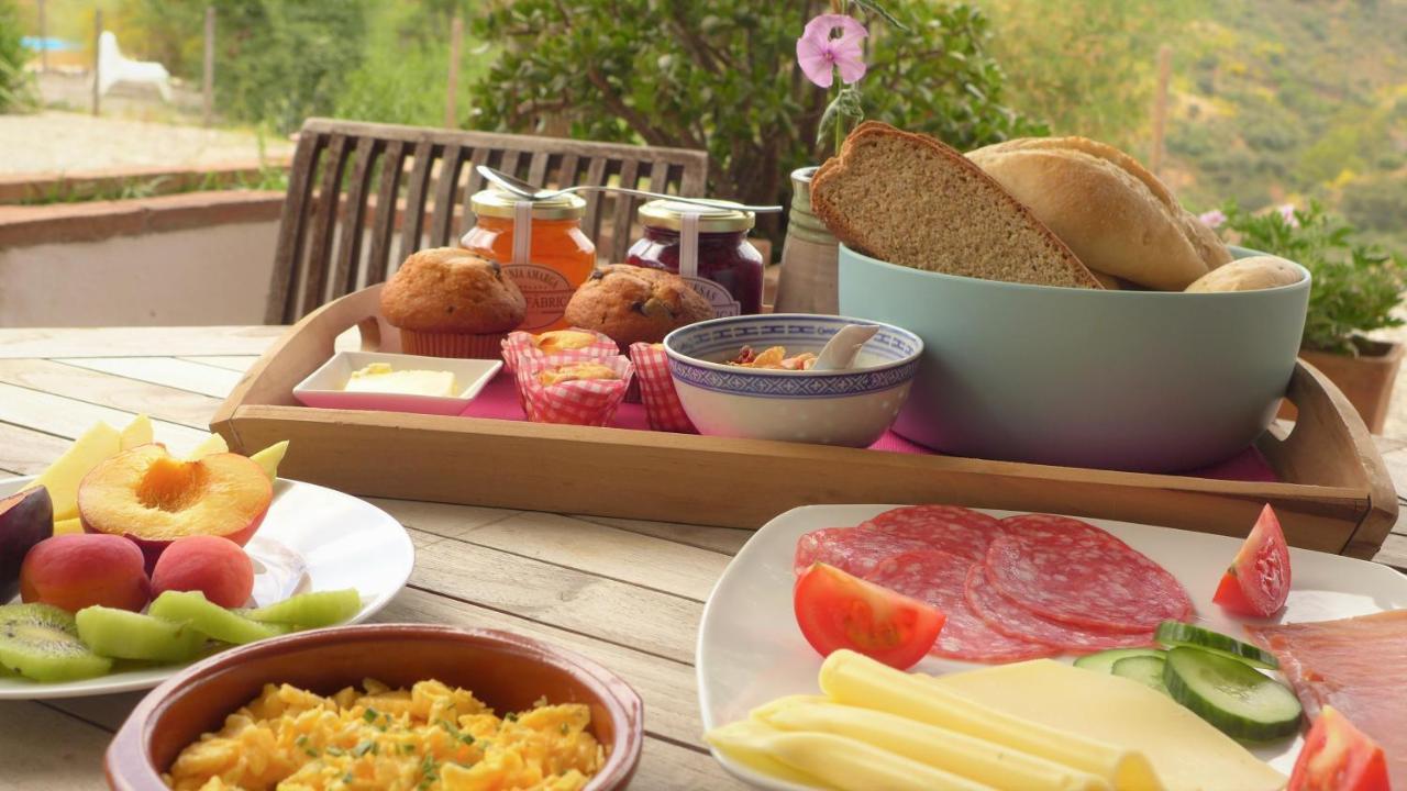 Corazon Andaluz Guesthouse 코인 외부 사진