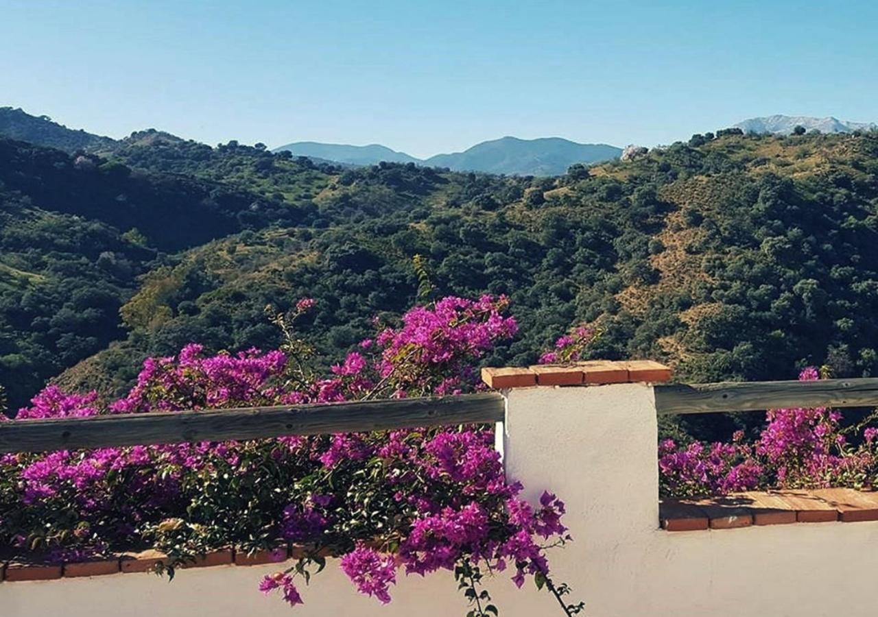 Corazon Andaluz Guesthouse 코인 외부 사진